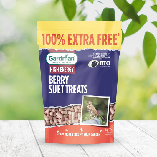Gardman Berry Suet Treats Bird Food 500g + 100% Extra Free
