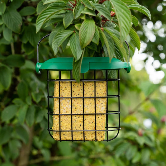 Gardman Flip Top Suet Feast Bird Feeder