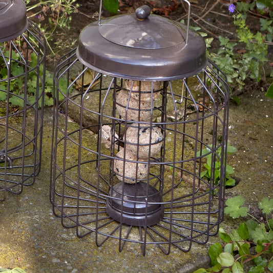 Gardman Heavy Duty Squirrel Proof Fat Snax Bird Feeder