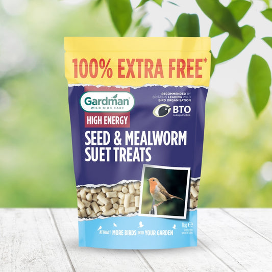 Gardman Seed & Mealworm Suet Treats Bird Food 500g + 100% Extra Free