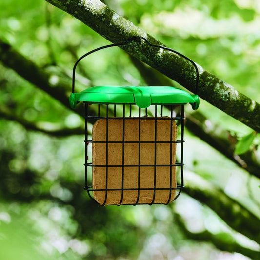 Gardman Squirrel Proof Suet Feast Bird Food 300g