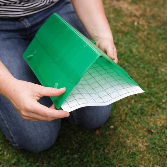 Growing Success Apple Maggot Monitoring Trap