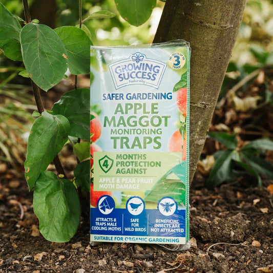 Growing Success Apple Maggot Monitoring Trap
