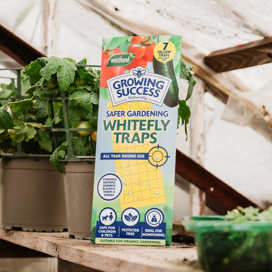 Growing Success Whitefly Traps Pack of 7