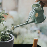 Haws The Langley Sprinkler Watering Can Sage