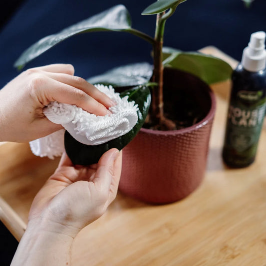 Westland Houseplant Mist & Leaf Shine 250ml