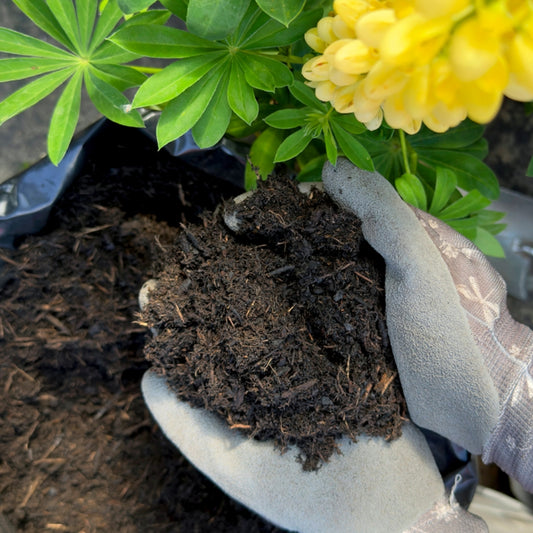 Miracle-Gro Peat Free Premium All Purpose Compost 50L