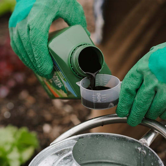 Westland Organic Seaweed Liquid Plant Growth Stimulant 1L