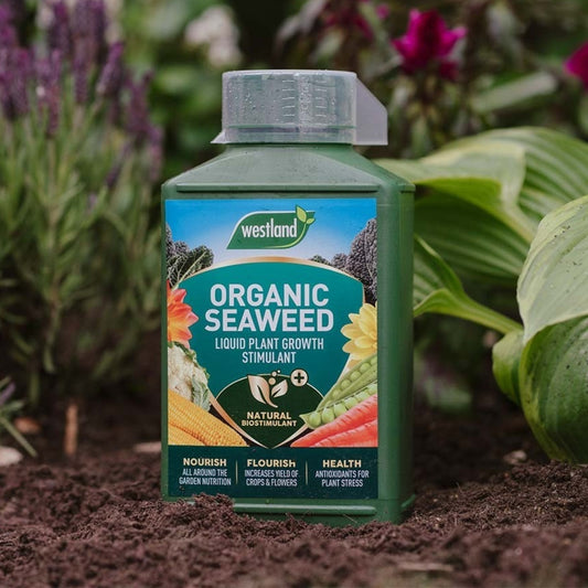 Westland Organic Seaweed Liquid Plant Growth Stimulant 1L