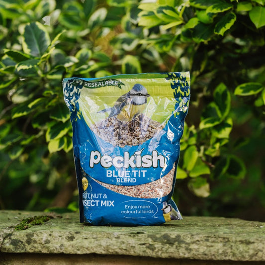 Peckish Blue Tit Seed Mix Bird Food 1kg