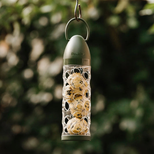 Peckish Extra Goodness Energy Balls Filled Bird Feeder