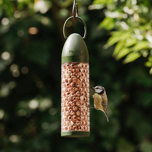 Peckish Peanuts Filled Bird Feeder