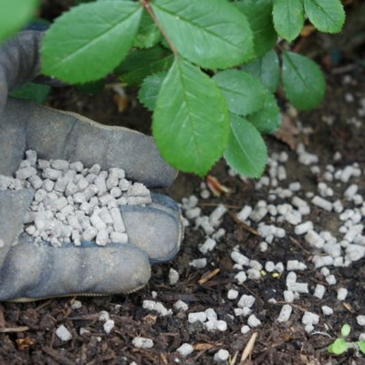 Vitax Q4 Premium All Purpose Plant Feed 2.5kg