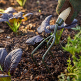 RHS Endored BoronGreen Steel Claw Cultivator