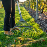 RHS Endorsed BoronGreen Steel Leaf & Lawn Rake