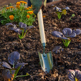 RHS Endorsed BoronGreen Steel Mid Handled Trowel
