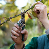 RHS Endorsed Pocket Pruner
