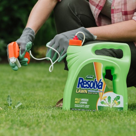 Resolva Lawn Weedkiller Extra Ready to Use Spray Gun 3L