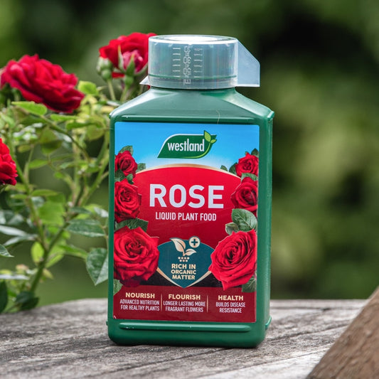 Westland Rose High Performance Liquid Plant Food 1L