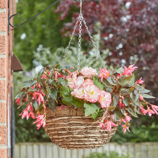Smart Garden 14" EcoGrass Hanging Basket