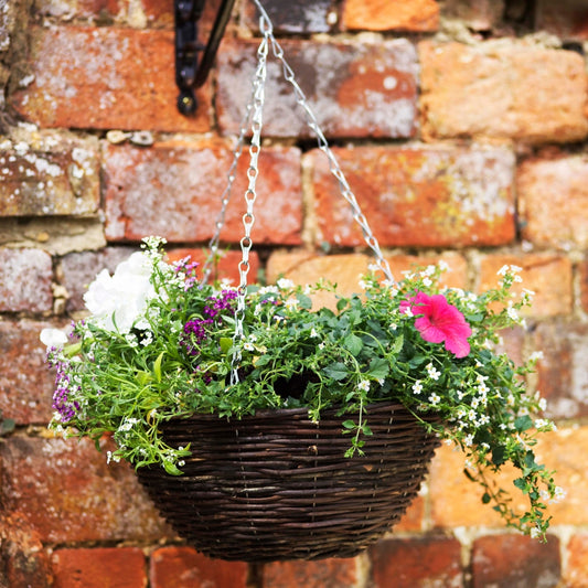 Smart Garden 14" Rattan Hanging Basket