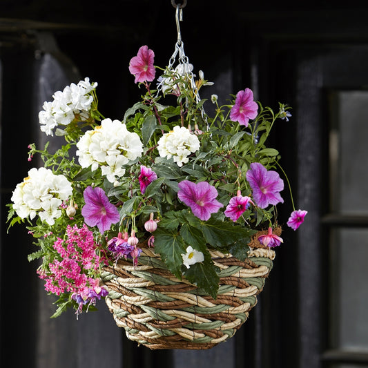 Smart Garden 14" Trinity Round Hanging Basket