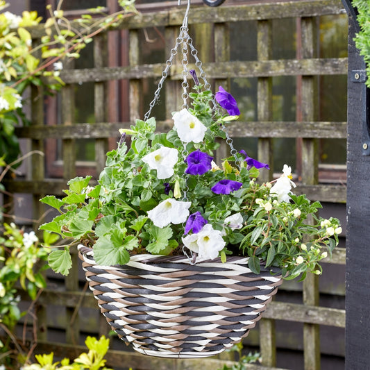 Smart Garden 14" Yeoman Faux Rattan Hanging Basket
