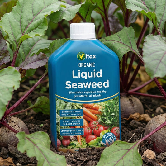 Vitax Organic Liquid Seaweed Concentrate 1L