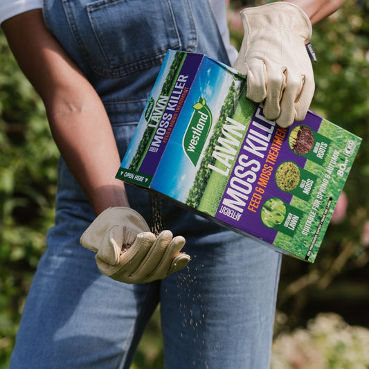 Westland Aftercut Moss Killer Lawn Treatment 80m2