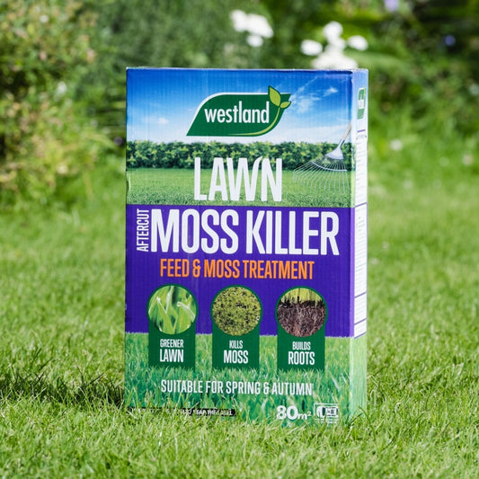 Westland Aftercut Moss Killer Lawn Treatment 80m2