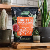 Westland Cacti & Succulent Potting Mix 4L