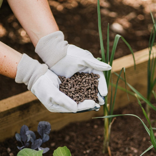 Westland Chicken Manure Pellets Organic Plant Feed 8kg