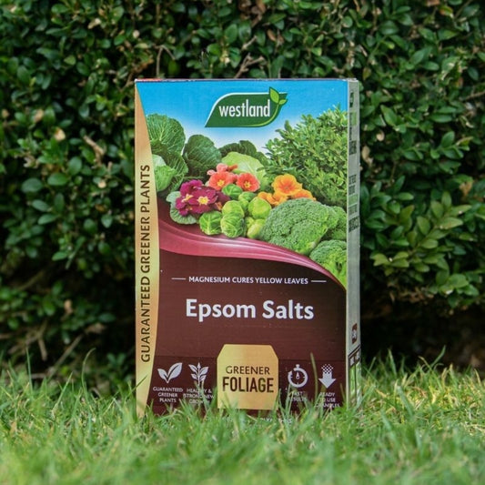 Westland Epsom Salts 1.5kg