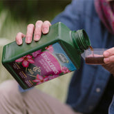 Westland Ericaceous High Performance Liquid Plant Food Concentrate 1L