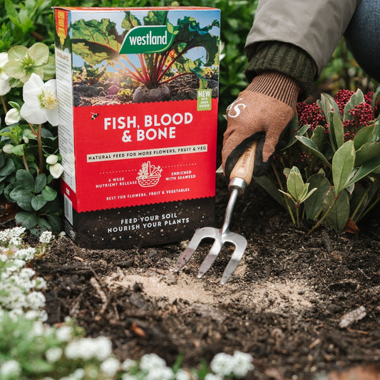 Westland Fish, Blood & Bone Natural Plant Feed 4kg
