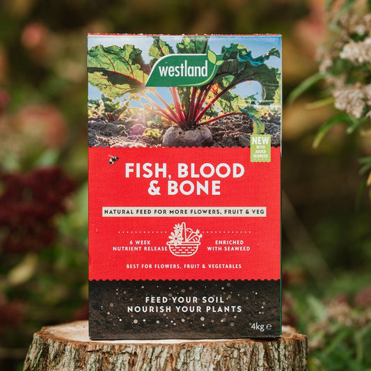 Westland Fish, Blood & Bone Natural Plant Feed 4kg