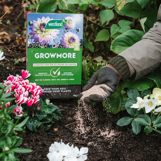 Westland Growmore Complete Garden Feed 4kg