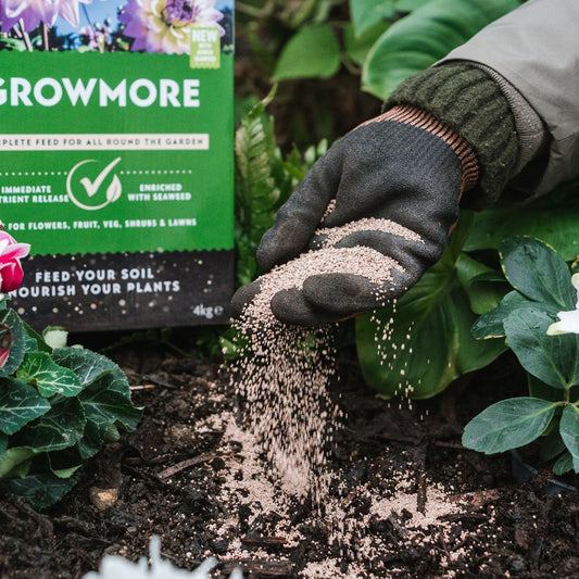 Westland Growmore Complete Garden Feed 4kg