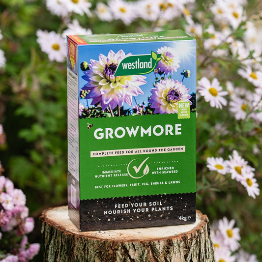 Westland Growmore Complete Garden Feed 4kg
