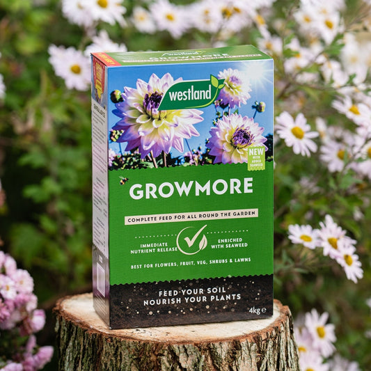 Westland Growmore Complete Garden Feed 4kg