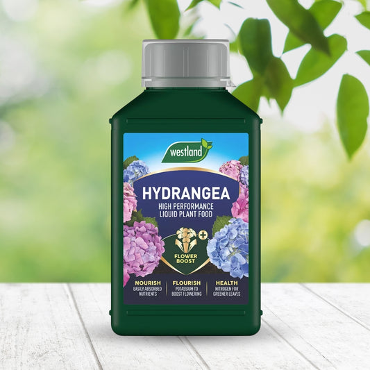 Westland Hydrangea High Performance Liquid Plant Food 1L
