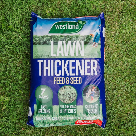 Westland Lawn Thickener Feed & Seed 250m2