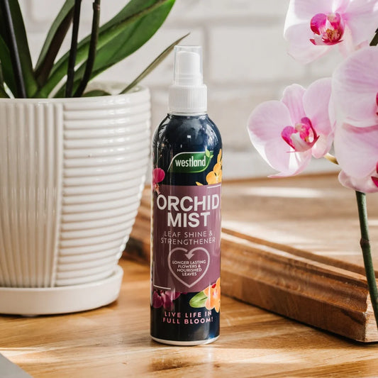 Westland Orchid Mist Spray 250ml