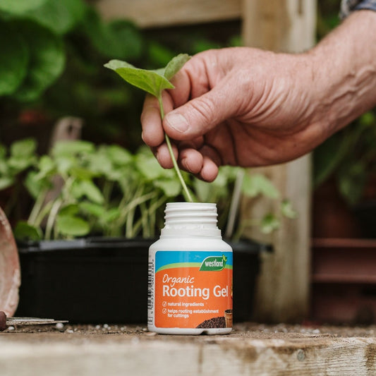 Westland Organic Rooting Gel 150ml