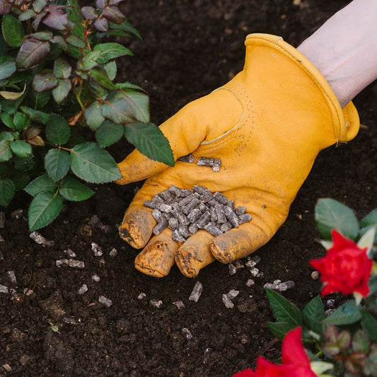 Westland Rose High Performance Plant Food 3kg