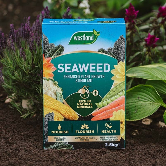 Westland Seaweed Enhanced Plant Growth Stimulant 2.5kg