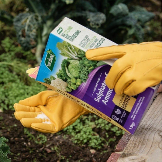 Westland Sulphate of Ammonia Vegetable Booster 1.5kg