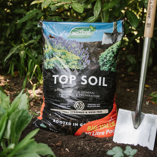 Westland Top Soil 30L