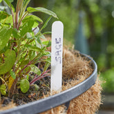 White Plant Labels 12.5cm 100 Pack