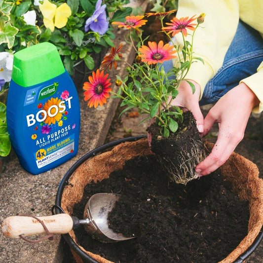 Boost All Purpose Liquid Plant Food 1L